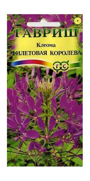 Клеома Фиолетовая королева 0,3 г