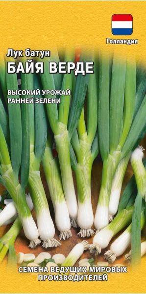 Семена Лук батун Байя Верде 0.2 г Голландия