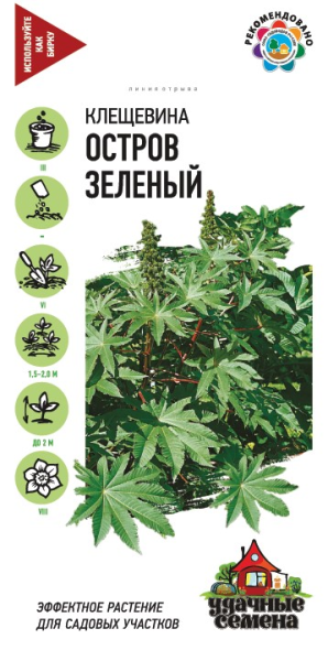 Клещевина Остров Зеленый  5 шт. Удачные семена