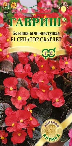 Семена Бегония Сенатор Скарлет F1 вечноцветковая 4 шт.