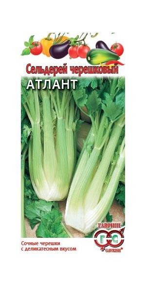 Семена Сельдерей черешковый Атлант 0,1 г