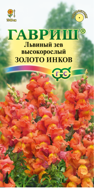 Львиный зев (Антирринум) Золото инков* 0,05 г