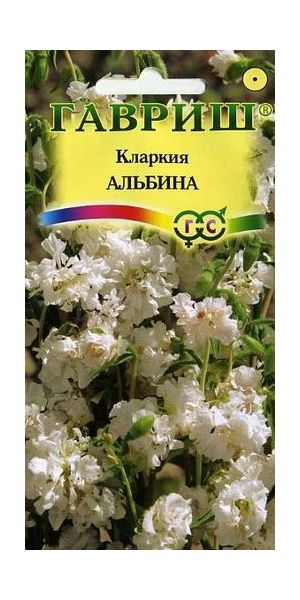 Кларкия Альбина, изящная* 0,1 г
