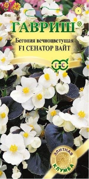 Семена Бегония Сенатор Вайт F1 вечноцветковая 4 шт.