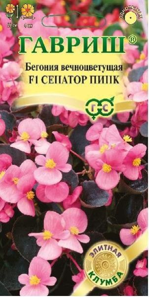 Семена Бегония Сенатор Пинк F1 вечноцветковая 4 шт.