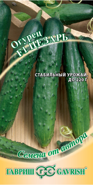 Семена Огурец Цезарь F1 10 шт.