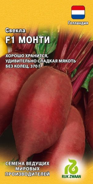 Семена Свекла Монти F1 1 г Голландия