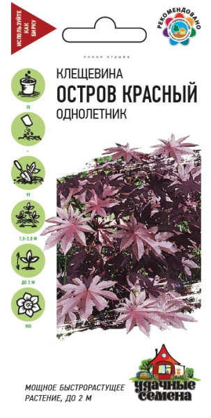 Клещевина Остров Красный  5 шт. Удачные семена