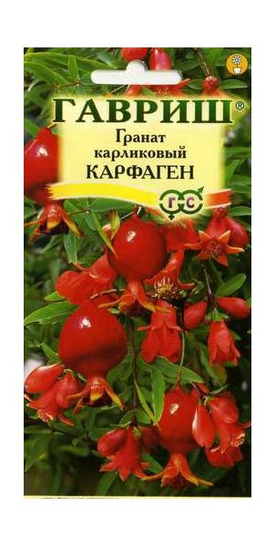 Семена Гранат карликовый Карфаген 5 шт
