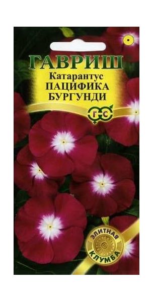 Катарантус Пацифика Бургундия* 5 шт. серия Элитная клумба