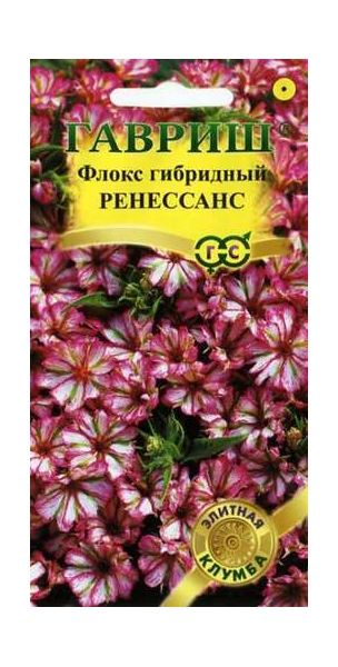 Флокс Ренессанс гибридный* 8 шт. серия Элитная клумба