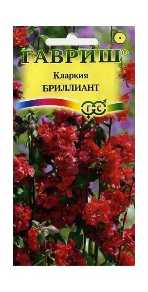 Кларкия Бриллиант, изящная* 0,1 г