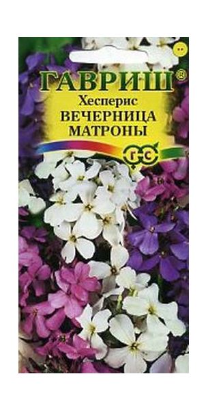 Семена Хесперис Вечерница Матроны, смесь 0,3 г
