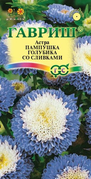 Семена Астра Пампушка голубика со сливками 0,3 г