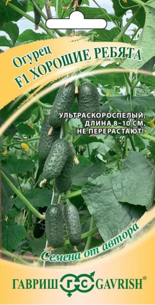 Семена Огурец Хорошие ребята F1 10 шт.