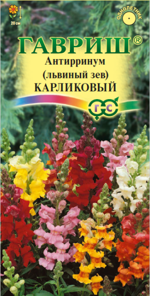 Львиный зев (Антирринум) карликовый*, смесь 0,05 г