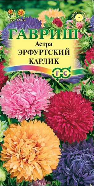 Семена Астра Эрфуртский карлик смесь 0,3 г