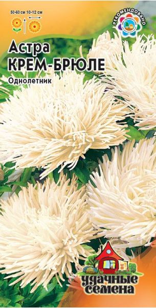 Семена Астра Крем-брюле 0,3 г Удачные семена