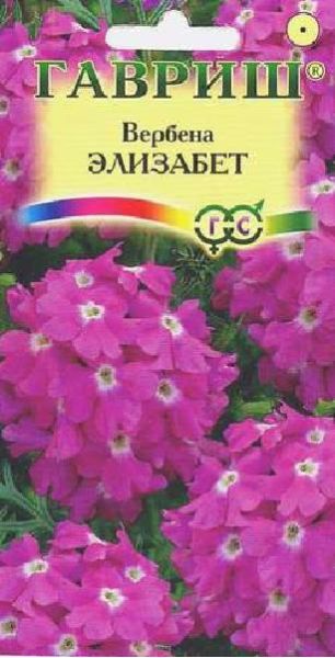 Вербена Элизабет* тонкорассеченная,  0,05 г
