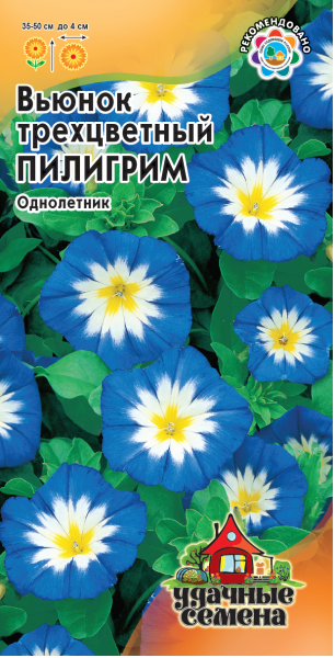 Вьюнок Трехцветный Пилигрим 0,5 г Удачные семена