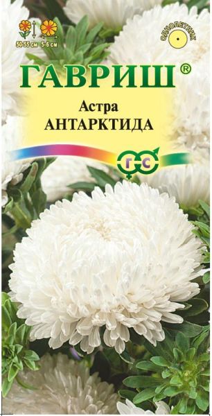 Семена Астра Антарктида 0,3 г