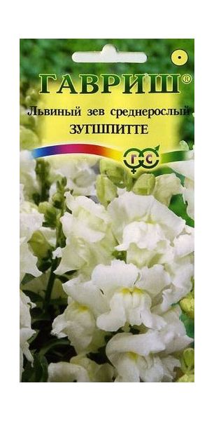 Львиный зев (Антирринум) Зугшпитте* 0,05 г