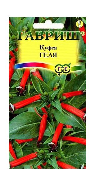 Семена Куфея огненно-красная Геля 0,02 г