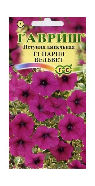 Петуния Парпл Вельвет (Сурфиния) амп. 4 шт. пробирка