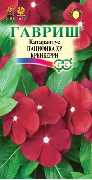 Катарантус Пацифика XP Кренберри 5 шт.* Элитная клумба