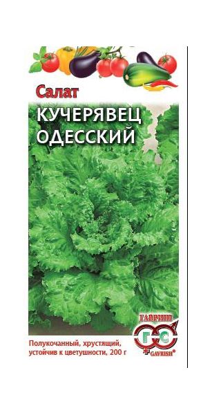 Семена Салат Кучерявец Одесский 0,5 г