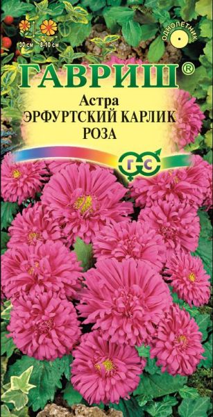 Семена Астра Эрфуртский карлик Роза 0,3 г
