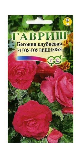 Семена Бегония Гоу-гоу вишневая F1 клубневая 4 шт.