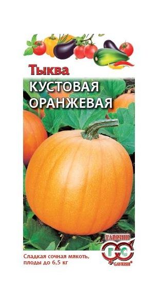 Семена Тыква Кустовая оранжевая 1 г