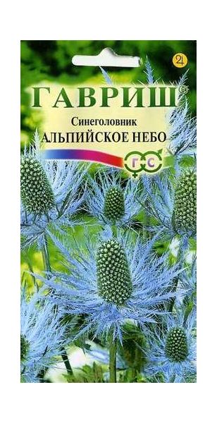 Семена Синеголовник Альпийское небо 0,05 г