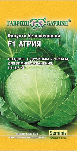 Семена Капуста белокочанная Атрия F1 10 шт Голландия