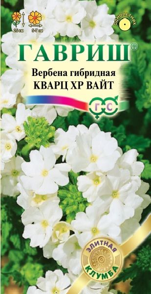 Вербена Кварц XP Вайт, гибридная* 4 шт. серия Элитная клумба