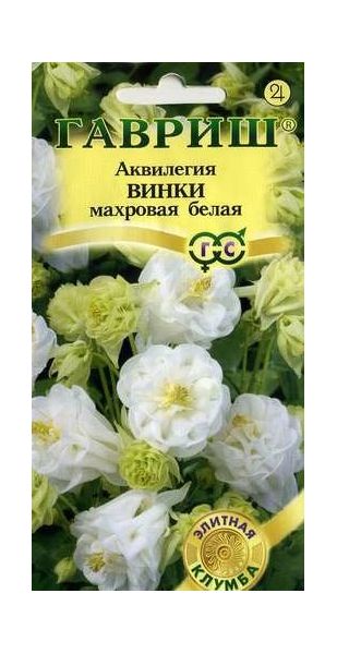 Семена Аквилегия Винки белая обыкновенная 5 шт