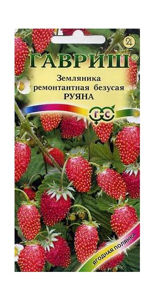 Семена Земляника Руяна ремонтантная безусая 0,03 г