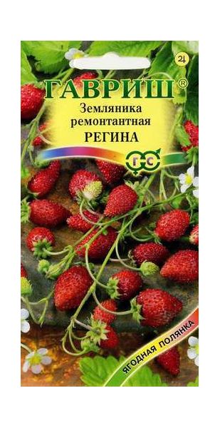Семена Земляника Регина 0,03 г