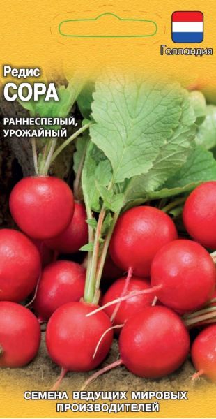 Семена Редис Сора 0,5 г Голландия