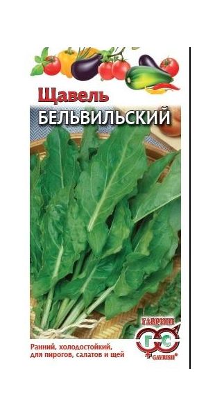 Семена Щавель Бельвийский 0,2 г