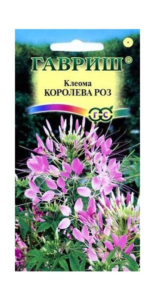 Клеома Королева роз 0,3 г