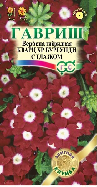 Вербена Кварц XP Бургунди с глазком, гибридная 4 шт.* серия Элитная клумба