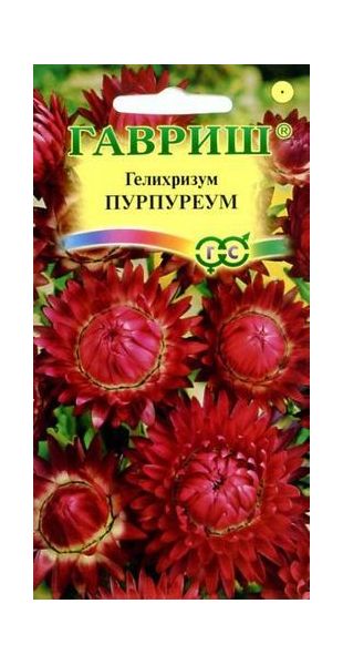 Гелихризум Пурпуреум* 0,1 г