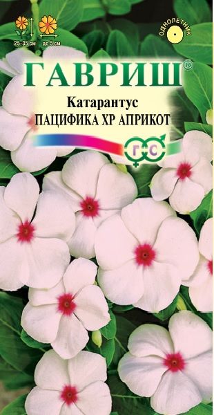 Катарантус Пацифика XP Априкот* 5 шт. серия Элитная клумба
