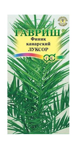 Семена Финик канарский Луксор 2 шт.