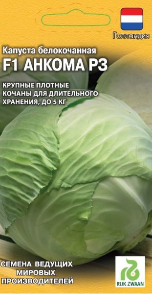 Семена Капуста белокочанная Анкома  F1 10 шт Голландия