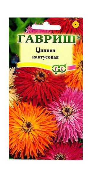 Цинния Кактусовая, смесь 0,5 г