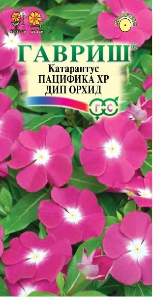 Катарантус Пацифика XP Дип Орхид* 5 шт. серия Элитная клумба