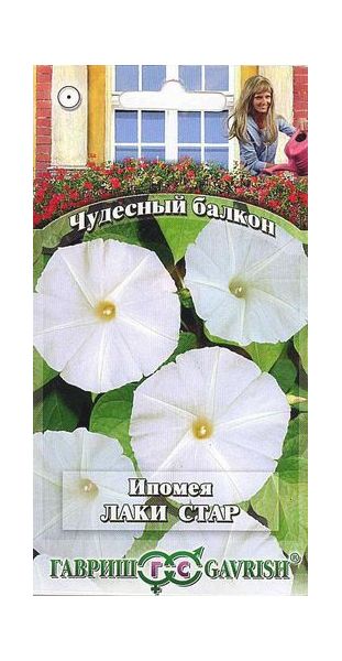 Ипомея Лаки стар 3 шт. серия Чудесный балкон